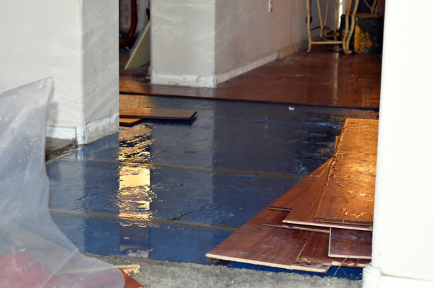 Professional Water Damage technician working in Lehigh Acres, FL